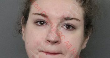 <B>MEGAN</B> BROOKE ALEWINE #, <b>Anderson</b> County, South Carolina, Anderson County, South Carolina - 2020-09-03 10:18:00