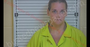 ELIZABETH UNDERWOOD | 2020-09-03 19:11:00 Taylor County, Kentucky Booking