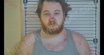 LUKE NEAL MINGS | 2020-09-03 03:39:00 Taylor County, Kentucky Booking