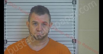 <B>TRAVIS</B> <B>DAILEY</B> #, Taylor County, Kentucky - 2020-09-04 10:58:00