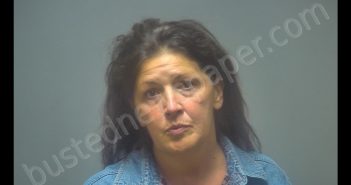 MONICA MARIE STEVENS | 2020-09-08 13:41:00 Isabella County, Michigan Booking