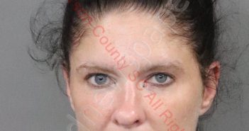VICKIE DARLENE HAYNES | 2020-09-10 15:46:00 Anderson County, South Carolina Booking
