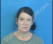 CARRIE STURGILL | 2020-09-10 09:24:00 Sullivan County, Tennessee Booking
