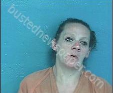 CHRISTINA CASEY | 2020-09-10 05:20:00 Sullivan County, Tennessee Booking