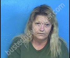 DONNA YOUNG | 2020-09-10 14:24:00 Sullivan County, Tennessee Booking