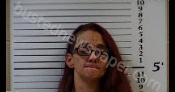 WALDROUP, PATRICA ANN | 2020-09-10 18:19:00 Cherokee County, North Carolina Booking