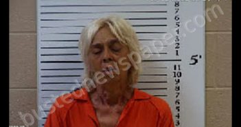 BRUCE, CAROL LYNN | 2020-09-10 18:13:00 Cherokee County, North Carolina Booking