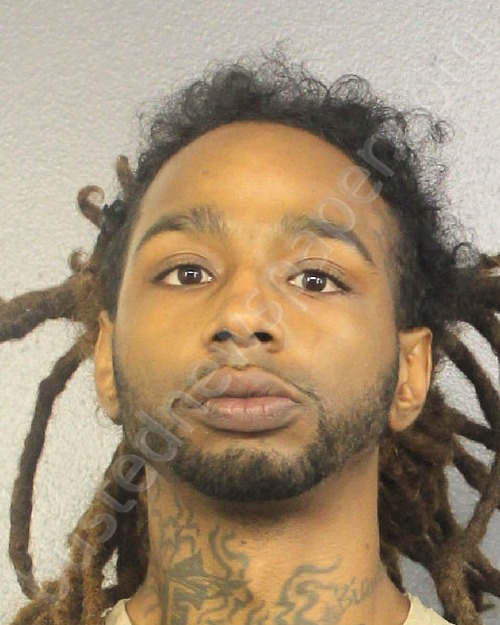 JOHNSON, JOSHUA DEON #, Broward County, Florida - 2020-09-10