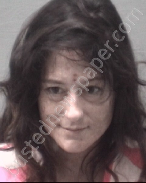 CANADY, KRISTY MARIE #, New Hanover County, North Carolina - 2020-09-11