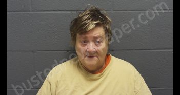 DEBORAH D SNYDER | 2020-09-11 19:37:00 Montgomery County, Indiana Booking