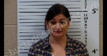 JORDAN, MINDY BRYSON | 2020-09-12 13:49:00 Cherokee County, North Carolina Booking