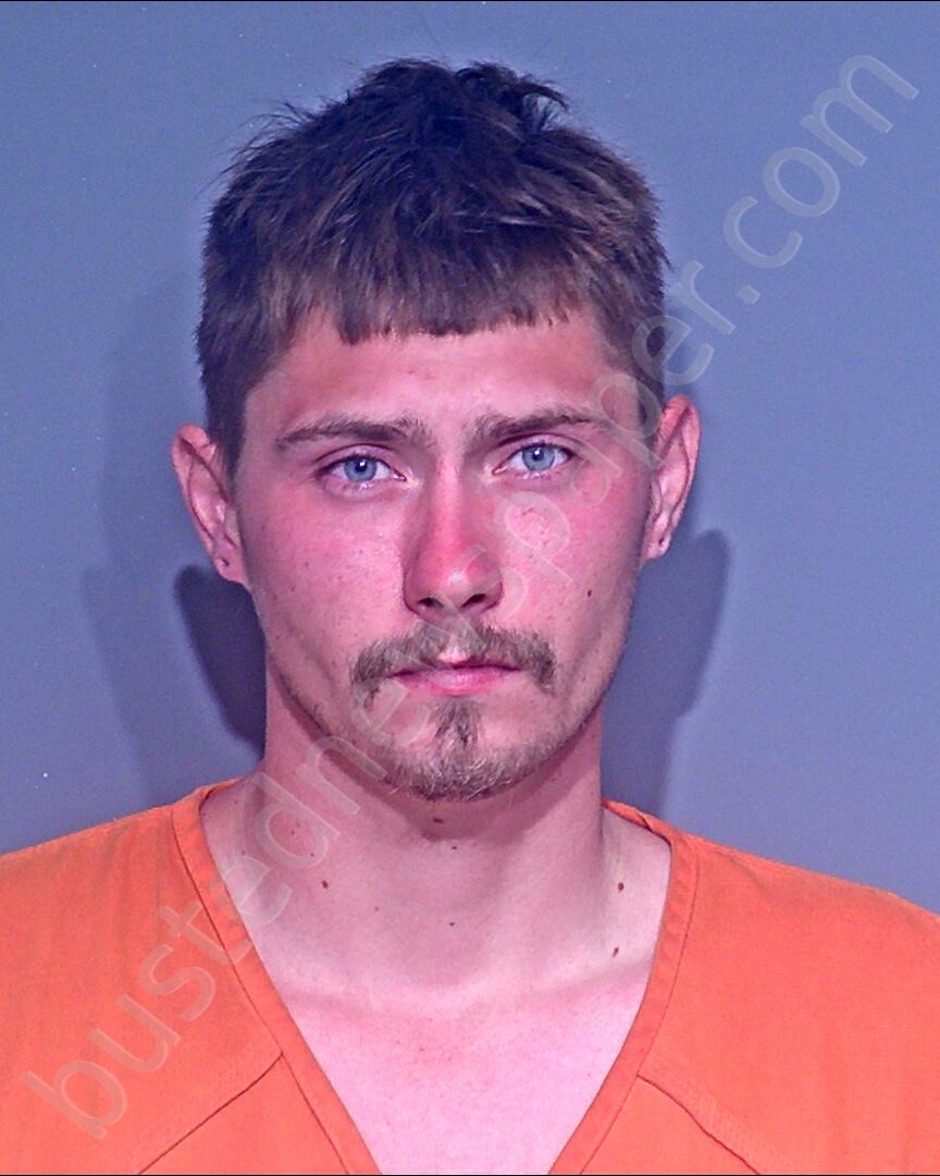 LOSIENIECKI, AARON GEORGE #, Baldwin County, Alabama - 2020-09-12 00:14:00