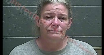 ELIZABETH ANN AMBURGY | 2020-09-13 13:53:00 Perry County, Indiana Booking