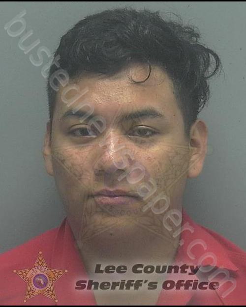 ALVAREZ MASFERRER, DANIEL ALEXIS #, Lee County, Florida - 2020-09-13 05:12:00
