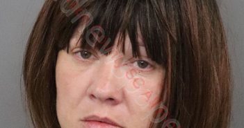 <B>LISA</B> <B>MARIE</B> <B>YON</B>–<B>FLEMING</B> #, Anderson County, South Carolina - 2020-09-15 01:27:00
