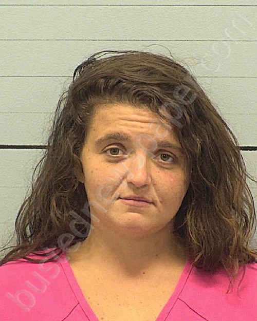 JOHNSON, MARTHA NICOLE #, Burke County, North Carolina - 2020-09-16 22:52:00
