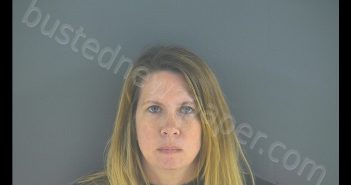 MICHELLE WILKERSON HAMILTON | 2020-09-17 02:40:00 Bedford County, Virginia Booking