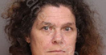RICHARDSON, DONNA LYNN | 2020-09-18 20:51:00 Florence County, South Carolina Booking