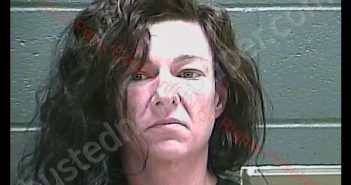 CINDY MARIE LECHNER | 2020-09-18 13:52:00 Perry County, Indiana Booking