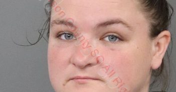 BRITTANY MICHELLE YOUNG | 2020-09-21 13:25:00 Anderson County, South Carolina Booking