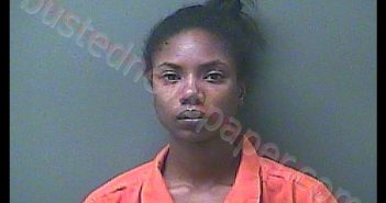 VICTORIA L HAMM | 2020-09-21 19:49:00 Laporte County, Indiana, La Porte County, Indiana Booking