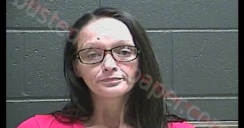 SONDRA FAYE LAWSON | 2020-09-22 15:41:00 Perry County, Indiana Booking