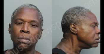 PENDER, SYLVIA | 2020-09-23 19:44:00 Miami-Dade County, Florida Booking