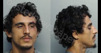 BRIDON, DANNY | 2020-09-23 20:46:00 Miami-Dade County, Florida Booking