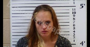 LEMON, LINDSEY ANN | 2020-09-24 14:50:00 Cherokee County, North Carolina Booking