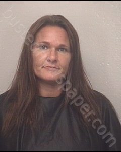 EAKIN, MELANIE RHYNE | 2020-09-24 Cleveland County, North Carolina Booking