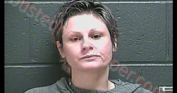 BRIDGETT NICOLE AUSTIN | 2020-09-25 10:28:00 Perry County, Indiana Booking
