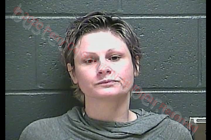 BRIDGETT NICOLE AUSTIN #, Perry County, Indiana - 2020-09-25 10:28:00