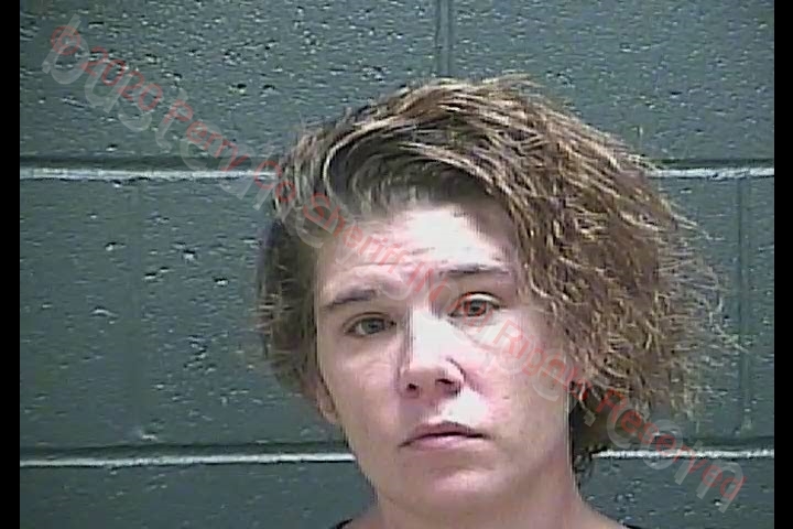 SARAH ELIZABETH FENWICK #, Perry County, Indiana - 2020-09-25 10:18:00