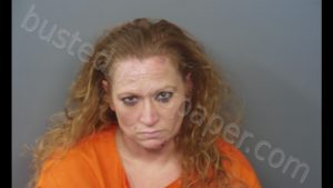 HOLLY LYNN STEVENS | 2020-09-28 22:11:00 Hendricks County, Indiana Booking