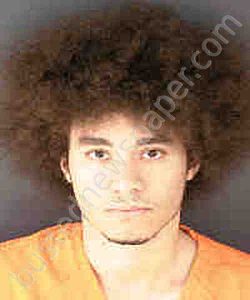 NAUDASCHER, AREK MICHAEL | 2020-09-29 Sarasota County, Florida Booking