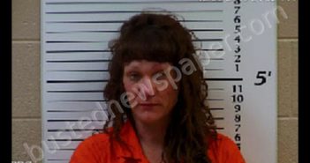 WHITENER, COURTNEY MARLANA | 2020-09-30 08:40:00 Cherokee County, North Carolina Booking