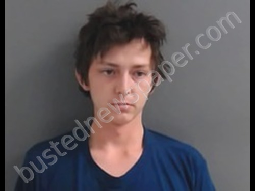 MICHAEL JOHNATHON HERRERA #, Marion County, Arkansas - 2020-09-30 13:56:00