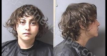 CARSON, HALEY MARIE | 2020-10-02 20:13:00 Madison County, Indiana Booking