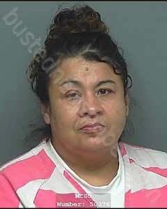 DRINNING, ANGELICA GONZALES | 2020-10-02 17:30:00 Montgomery County, Texas Booking