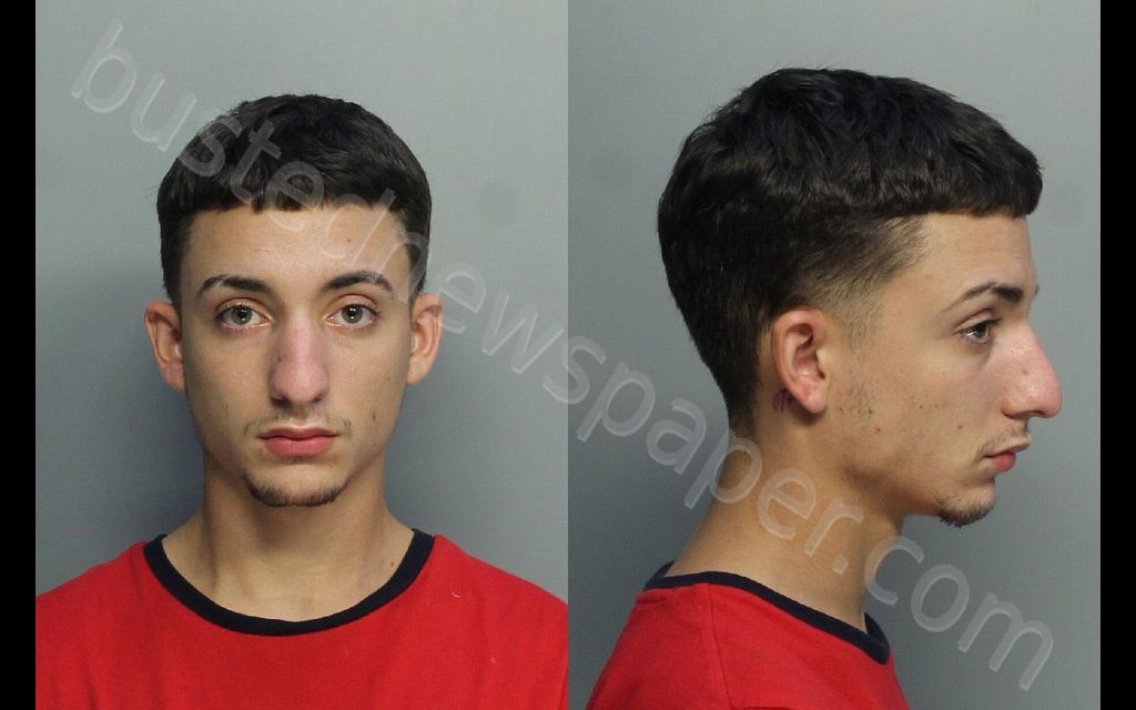 ALVAREZ, DANIEL #, Miami-Dade County, Florida - 2020-10-03 11:29:00