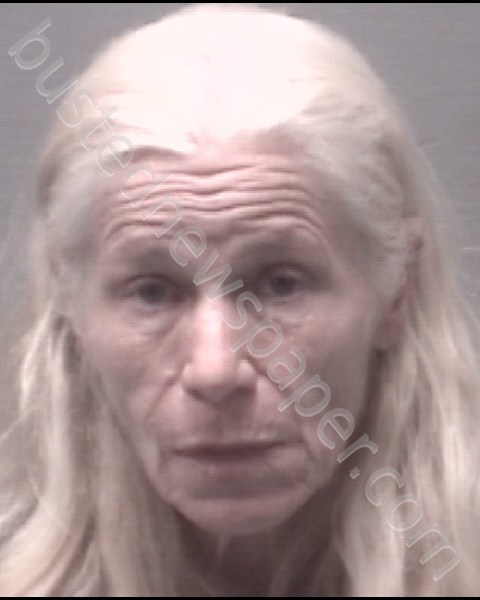 WAGNER, DENISE ANN #, New Hanover County, North Carolina - 2020-10-03