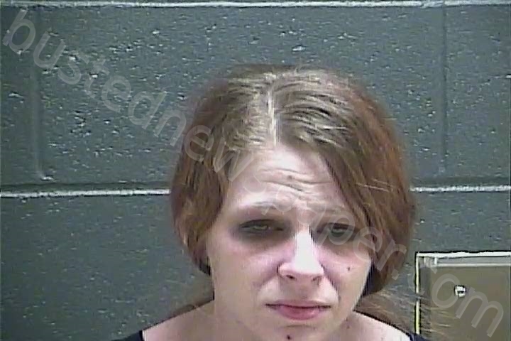ATWELL, MERCEDA DIANE #, Perry County, Indiana - 2020-10-04 03:35:00