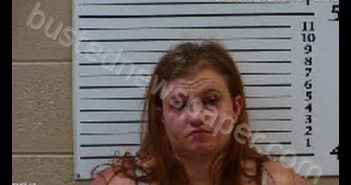 CARROLL, DORA LEE | 2020-10-05 16:04:00 Cherokee County, North Carolina Booking