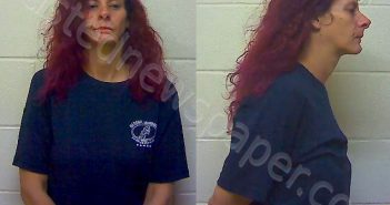 BROOKINS ELIZABETH MAZELLA | 2020-10-09 20:12:29 Craven County, North Carolina Booking