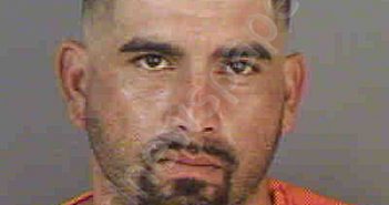 <B>SILVA</B>,<B>RICARDO</B> <B>GARCIA</B> #, Collier County, Florida - 2020-10-10