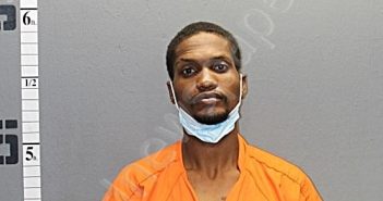 SMITH, RANELL KENNETH | 2020-10-11 23:00:00 Western Tidewater, Virginia Booking