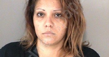 <B>GONZALES</B>,<B>MICHELLE</B> ANDREA #, Fort Bend County, Texas - 2020-10-11 10:43:00