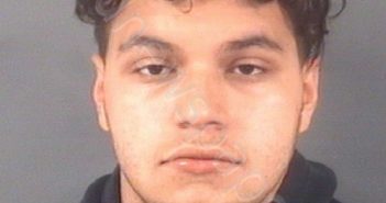 VELEZ, <B>ALVAREZ</B> LUIS <B>ANGEL</B> #, Cumberland County, North Carolina - 2020-10-13