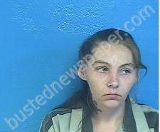 HEATHER THOMPSON | 2020-10-13 19:43:00 Sullivan County, Tennessee Booking