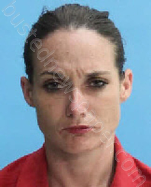 COTHERN, ERIKA LYNN #, Desoto County, Florida - 2020-10-17 02:31:00